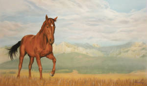 20123b/horseportraitsmall.jpg